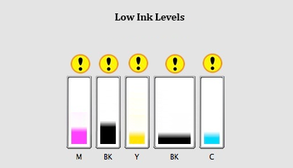 Common Causes of the B203 Canon Error